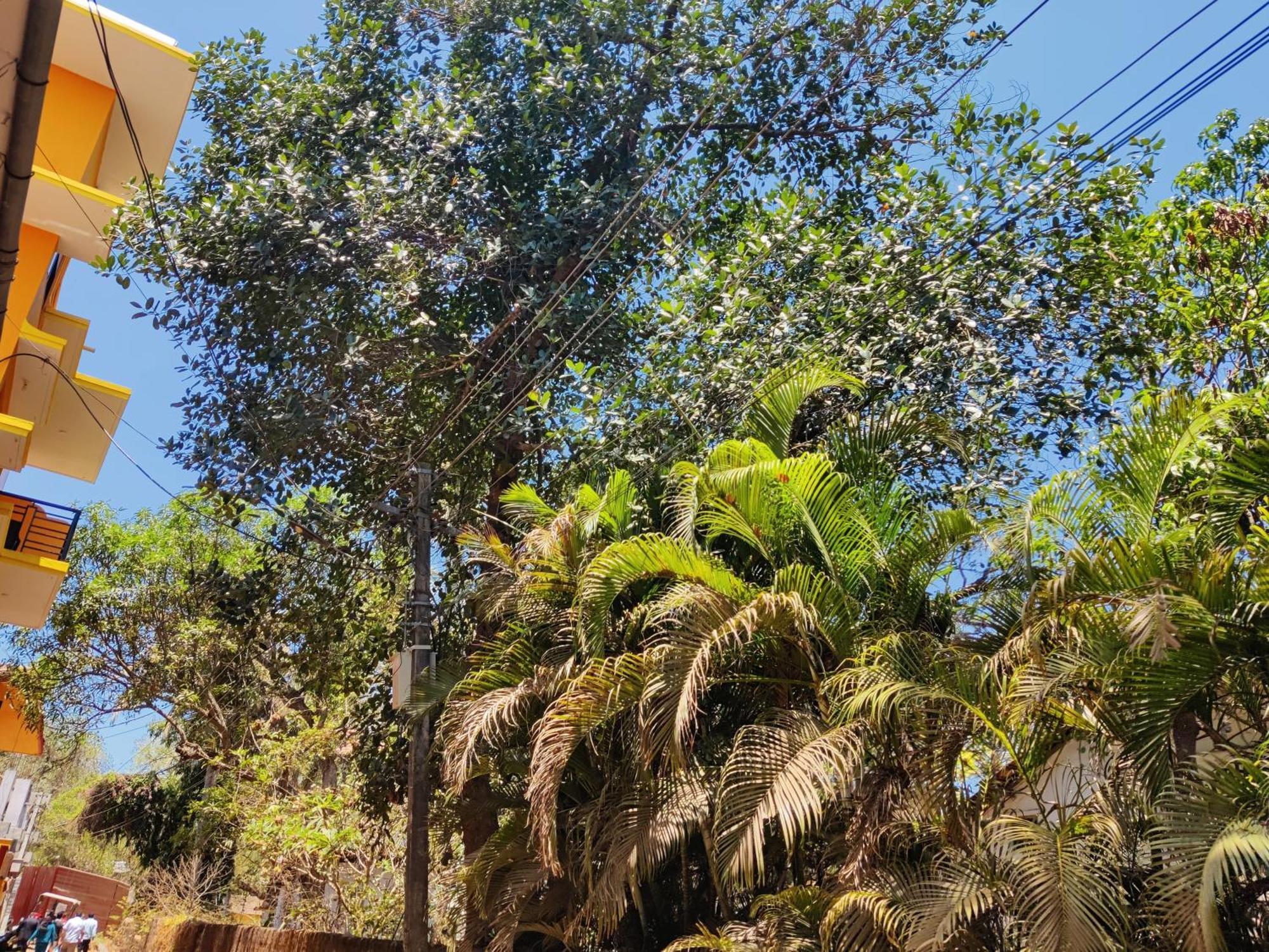 Sai Guru Guest House Anjuna Zewnętrze zdjęcie
